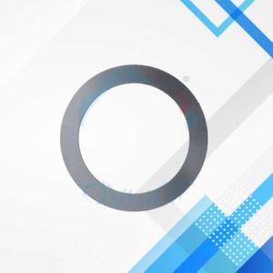 Valve Plate 022-10021-000