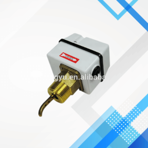 Water Flow Switch 024W33844-000