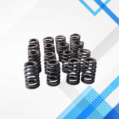 Low Pressure Spring 229-13813-800