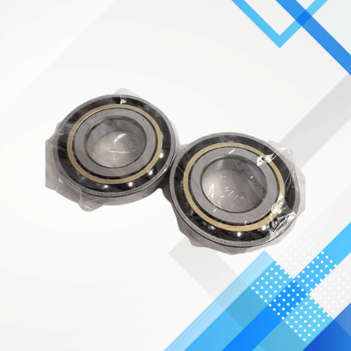 Rear Bearing BRG01640