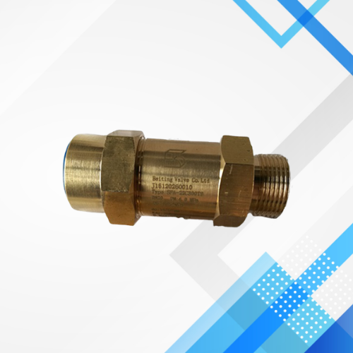 Safety Release Valve 00PSY111322500