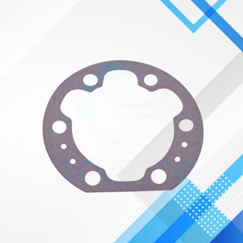 Solenoid Valve Gasket 064-49541-000